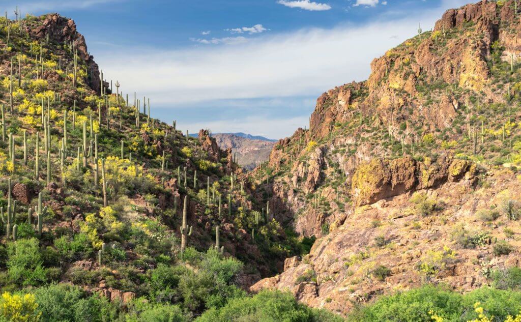 10 Best Hot Springs Arizona