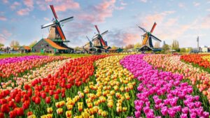 Moving-To-Netherlands-From-US-featured-image