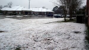 Does it snow in Louisiana