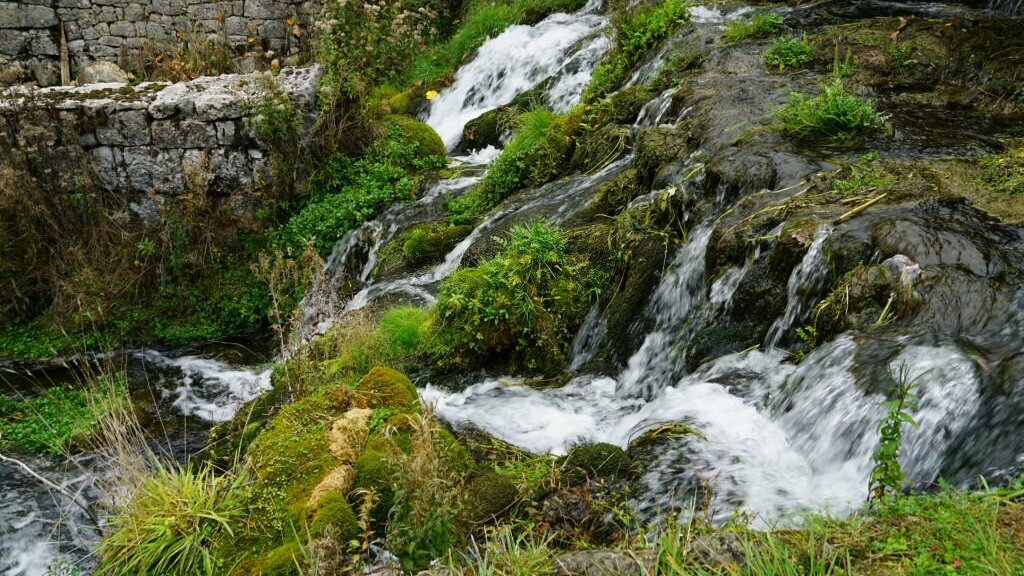 Waterfall-Glen-Forest-Preserve